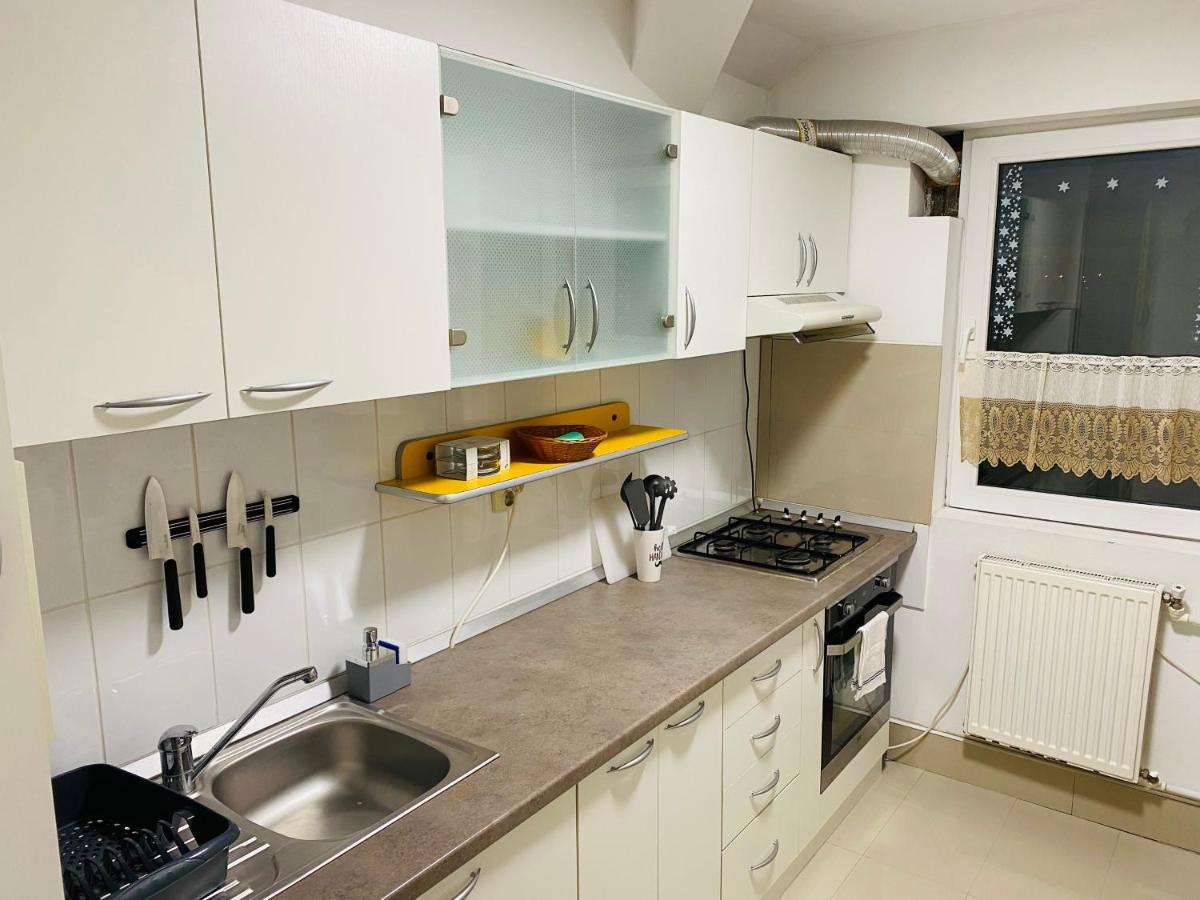 Apartament Raluca - Self Check-In Тимишоара Екстериор снимка